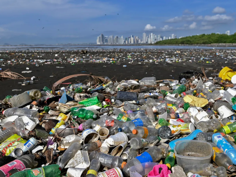 The Importance of Plastic Recycling: A Comprehensive&nbsp;Guide