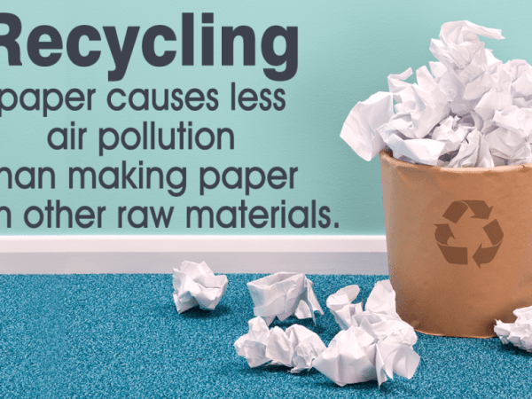 How Paper Recycling Helps the&nbsp;Environment